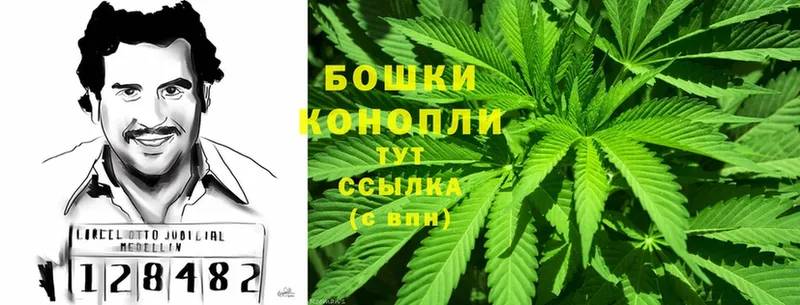 Конопля OG Kush  Вольск 